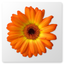 Artweaver icon